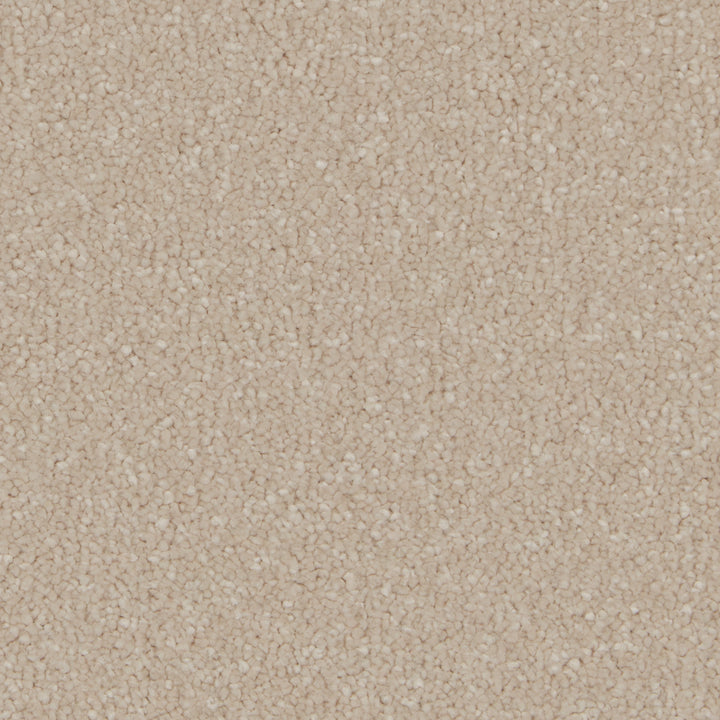 Silken Serenity Antique White Carpet