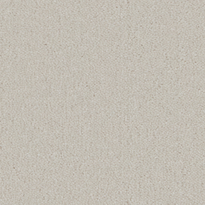Silken Serenity Polar White Carpet