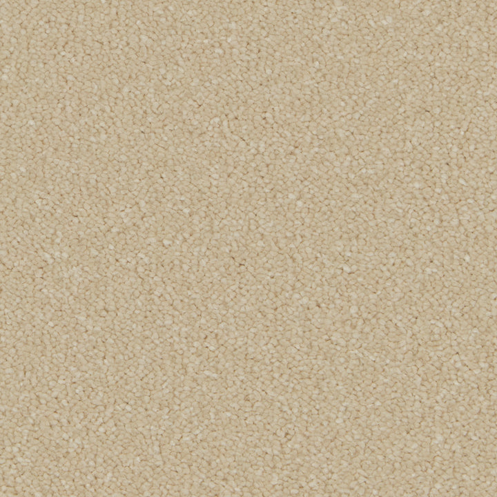 Silken Serenity Sand Dune Carpet