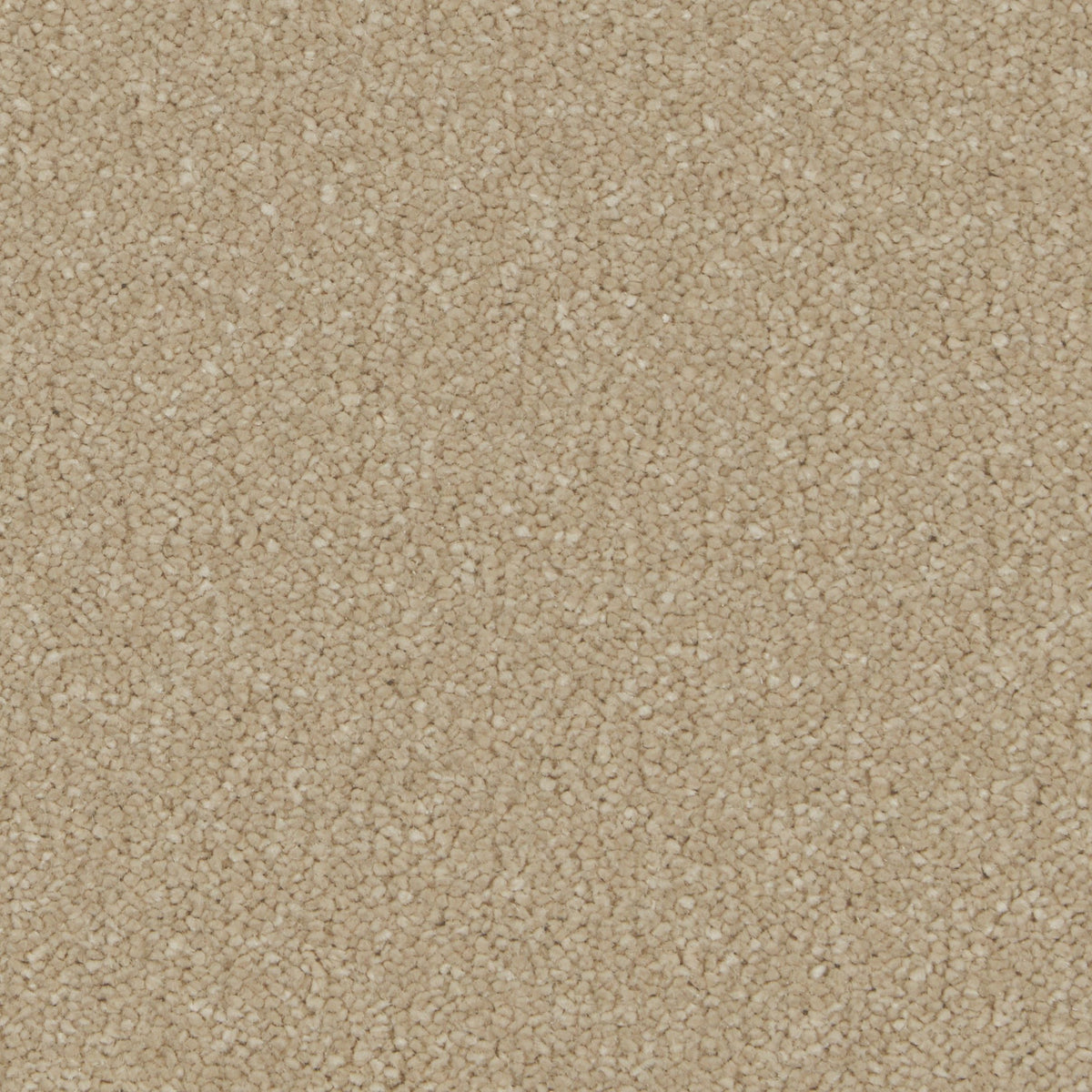 Silken Serenity Malt Carpet
