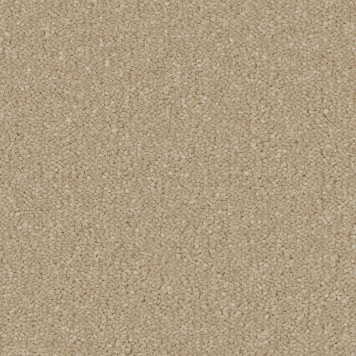 Silken Serenity Malt Carpet