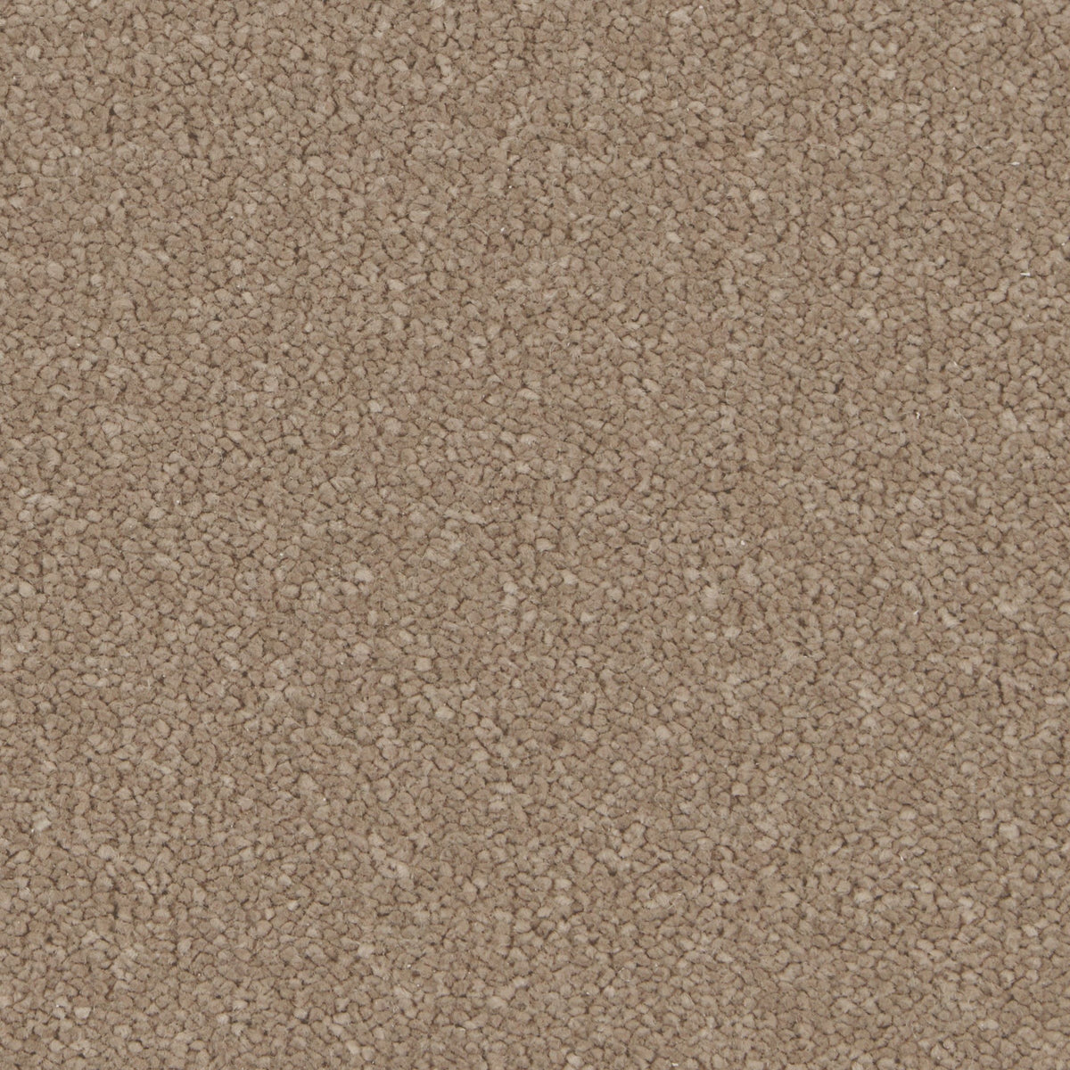 Silken Serenity Mead Carpet