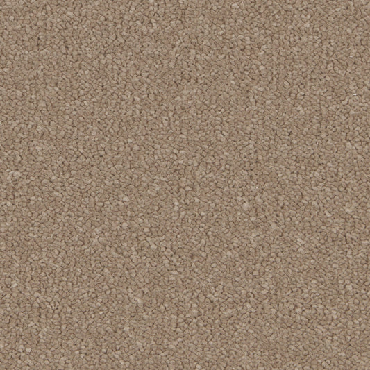 Silken Serenity Mead Carpet