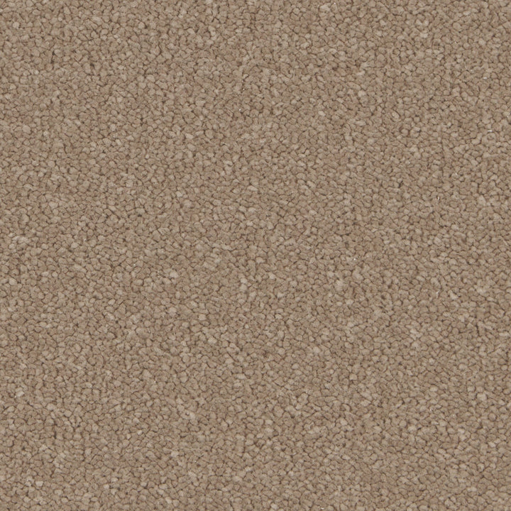 Silken Serenity Mead Carpet