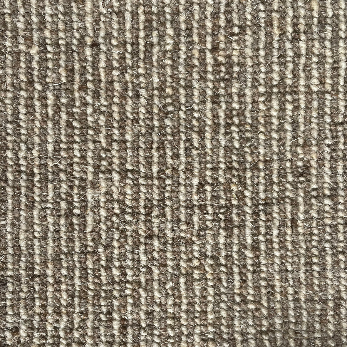 Middlemarch Lydgate Carpet