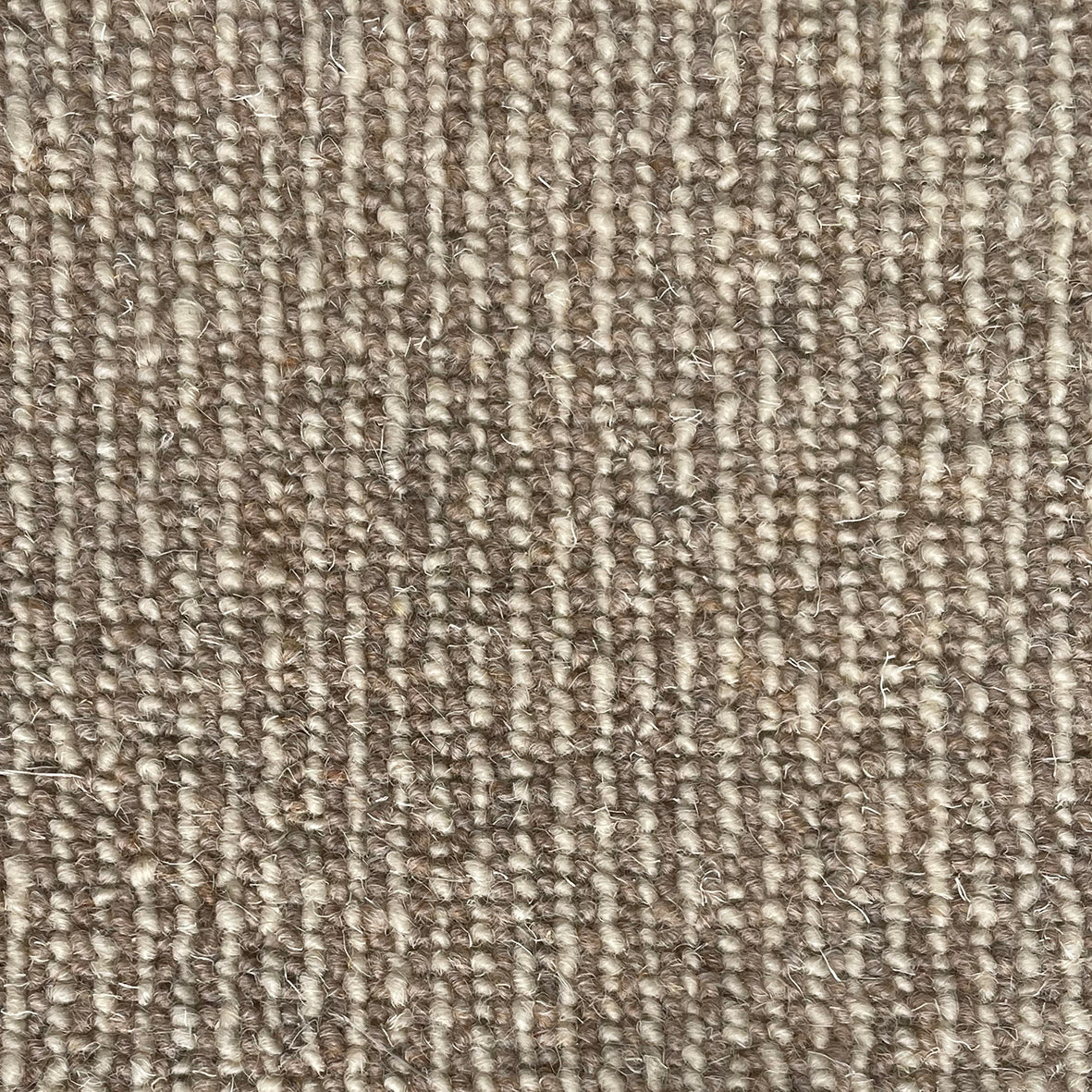 Middlemarch Rosamund Carpet