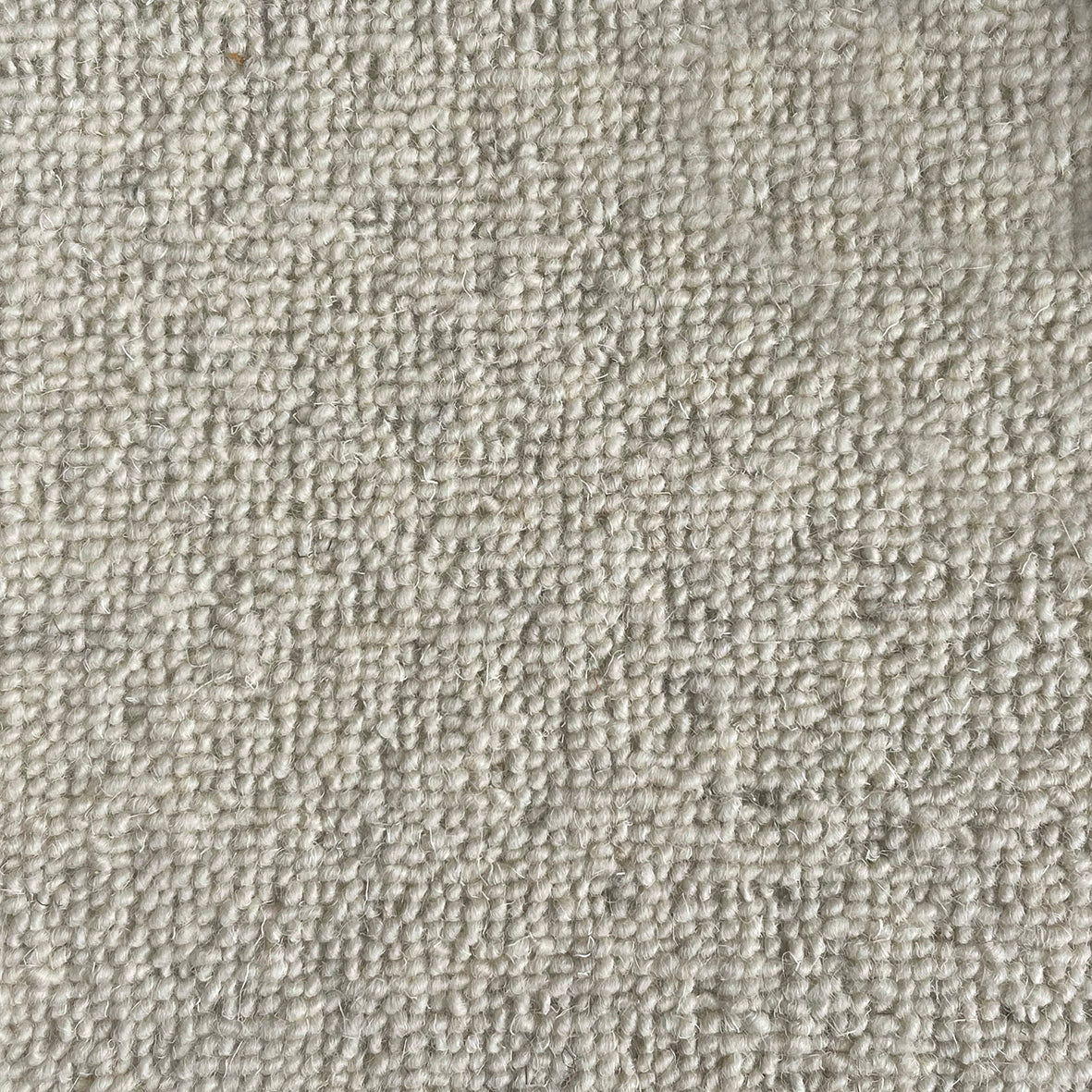 Middlemarch Chettam Carpet