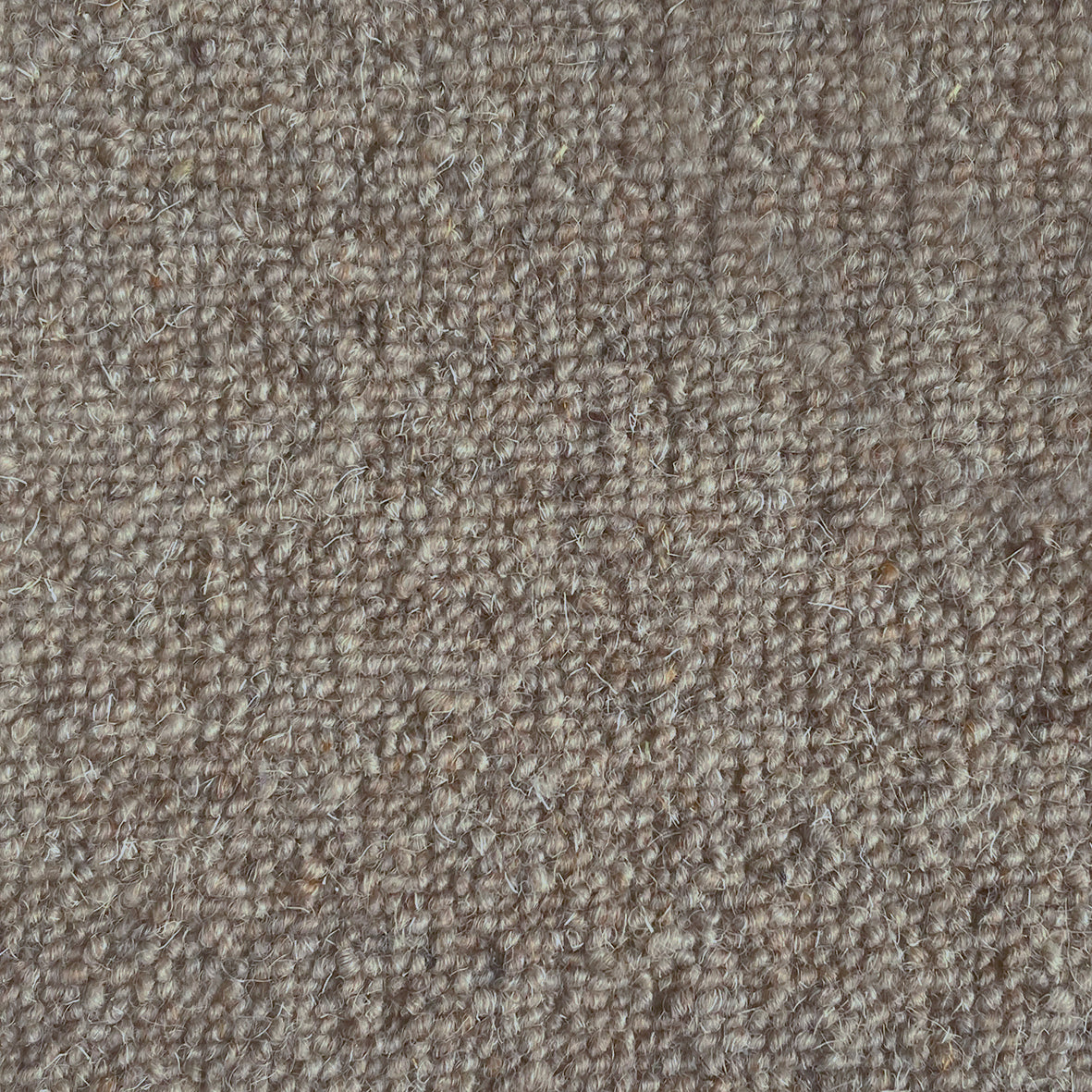 Middlemarch Eliot Carpet