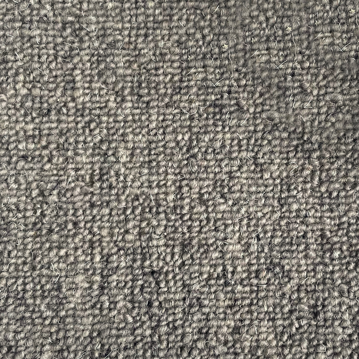 Middlemarch Dorothea Carpet