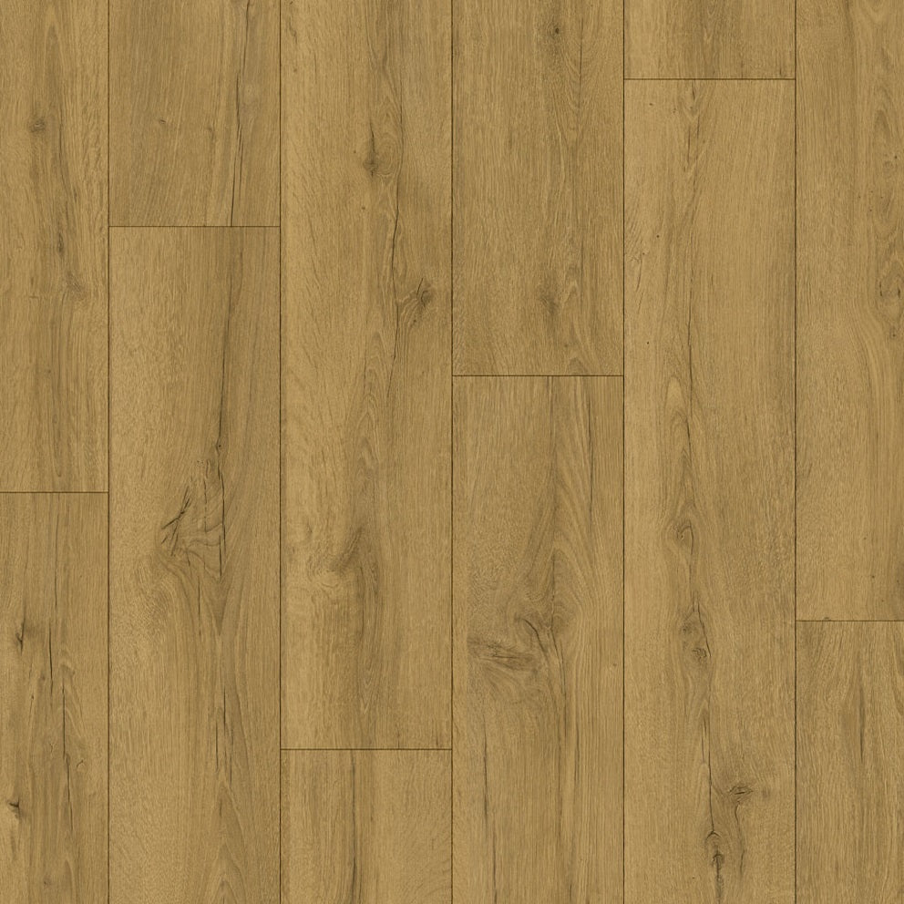Quickstep CLASSIC HONEY BROWN OAK CLM5792 8mm Laminate Flooring