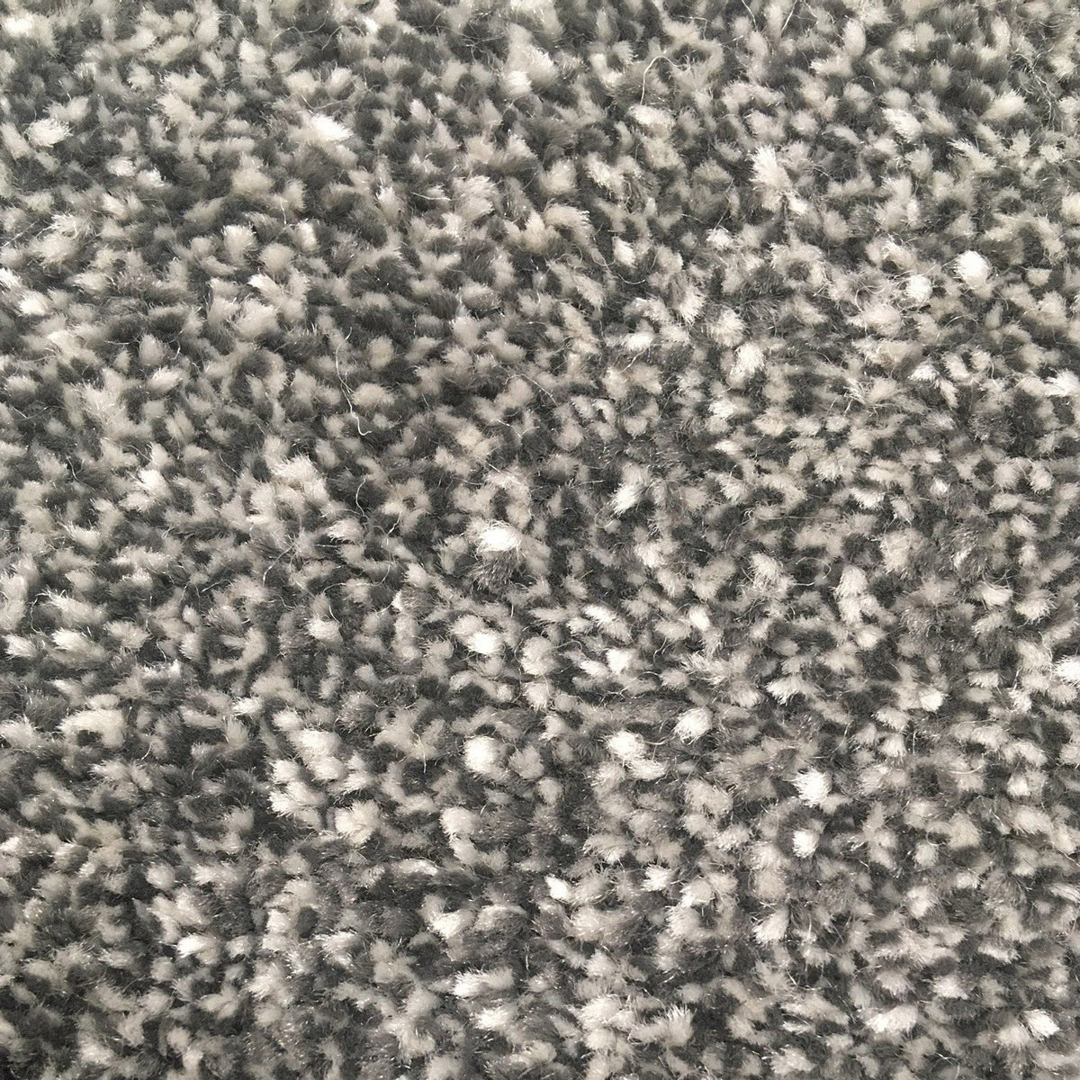 Rimo Twist AB Platinum 8336 Carpet