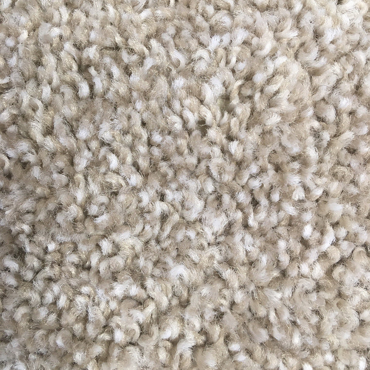 Hi Five Mink 8432 Carpet