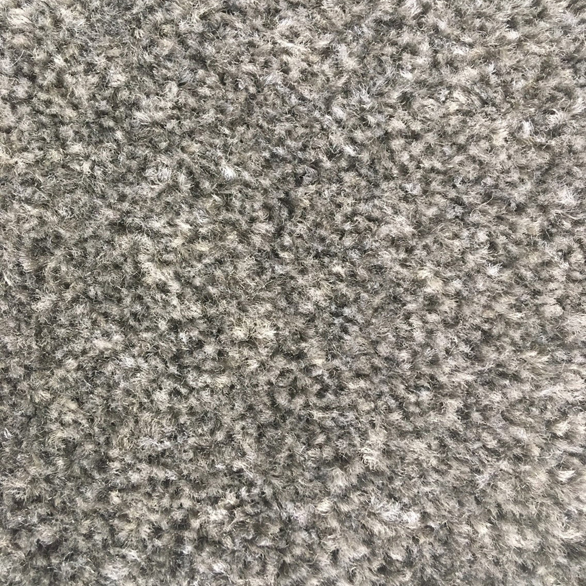 Dalky Felt Gunmetal 6109 Carpet
