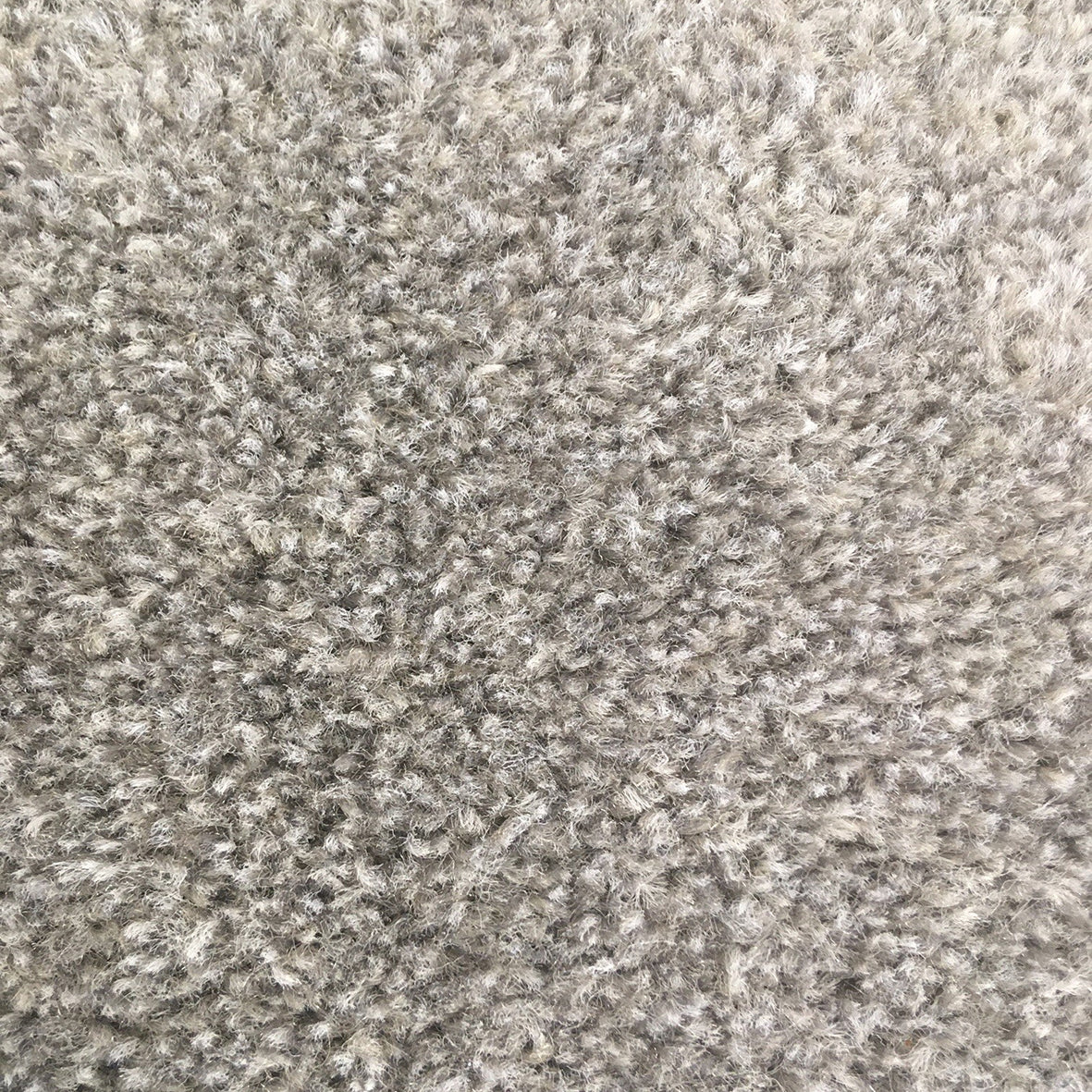 Dalky Felt Silver 6114 Carpet