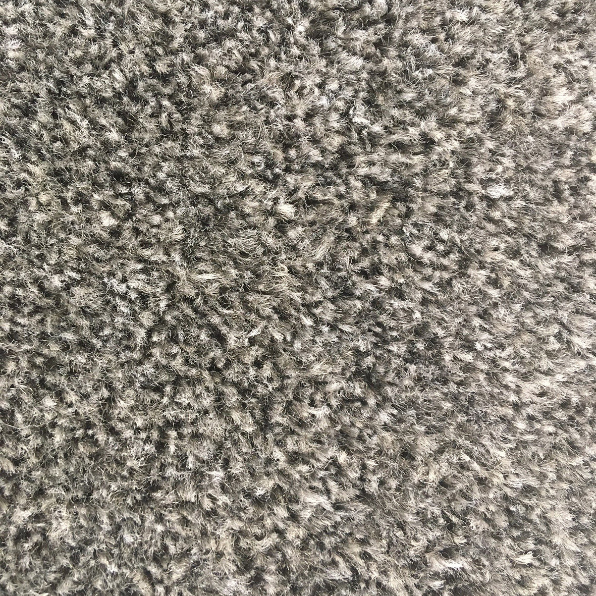 Dalky Felt Tungsten 6101 Carpet