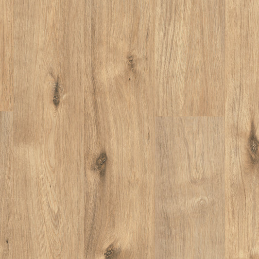 Egger (Estilo) Hydro Lock Daintree New England Oak Laminate Flooring