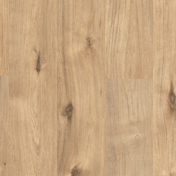 A close up of Hydro Lock Daintree New England Oak 7mm Laminate Flooring