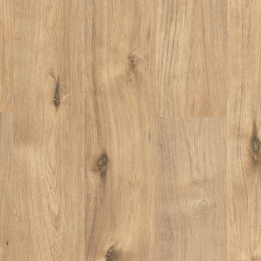 Egger (Estilo) Hydro Lock Daintree New England Oak