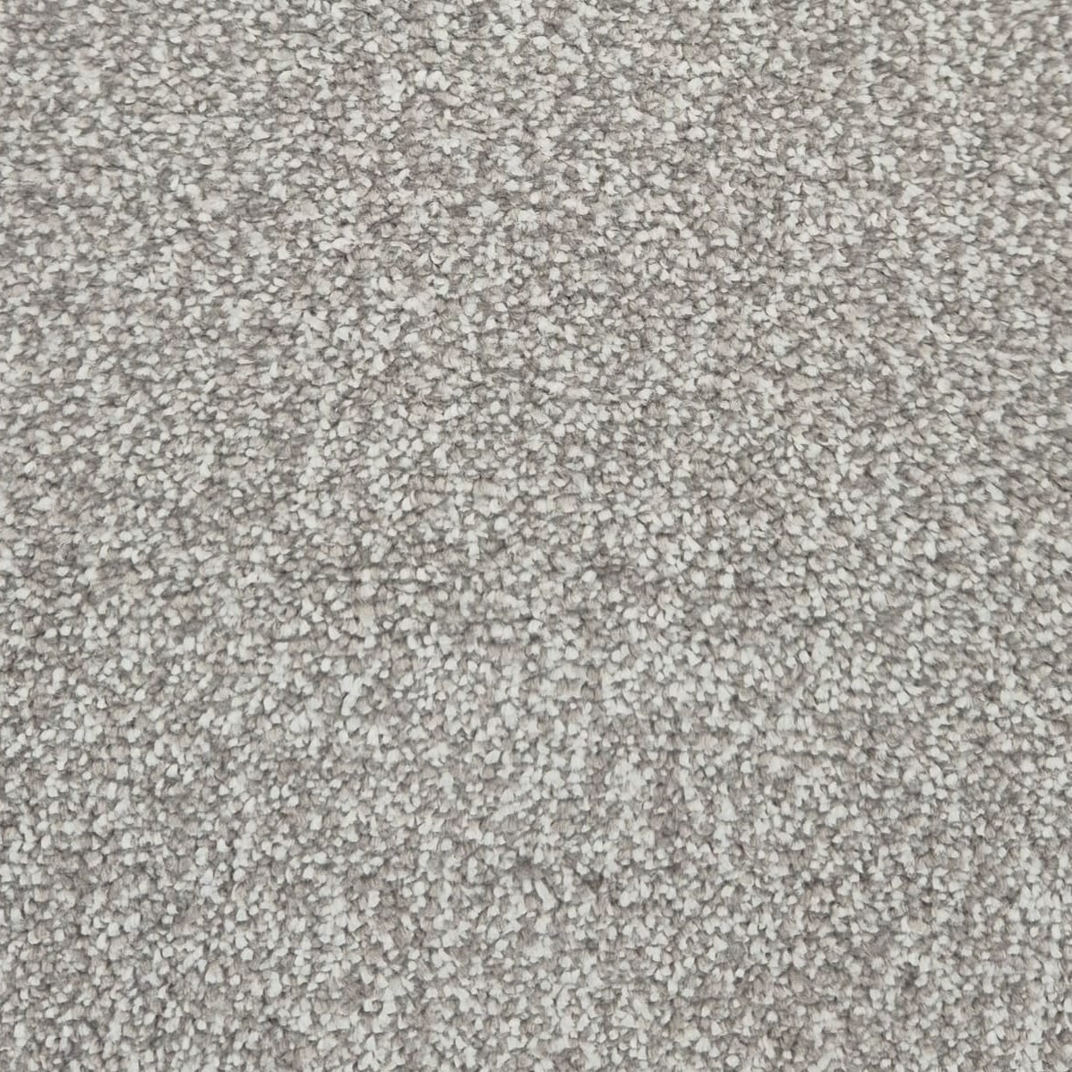 Divonte-72-Ice-White-Carpet
