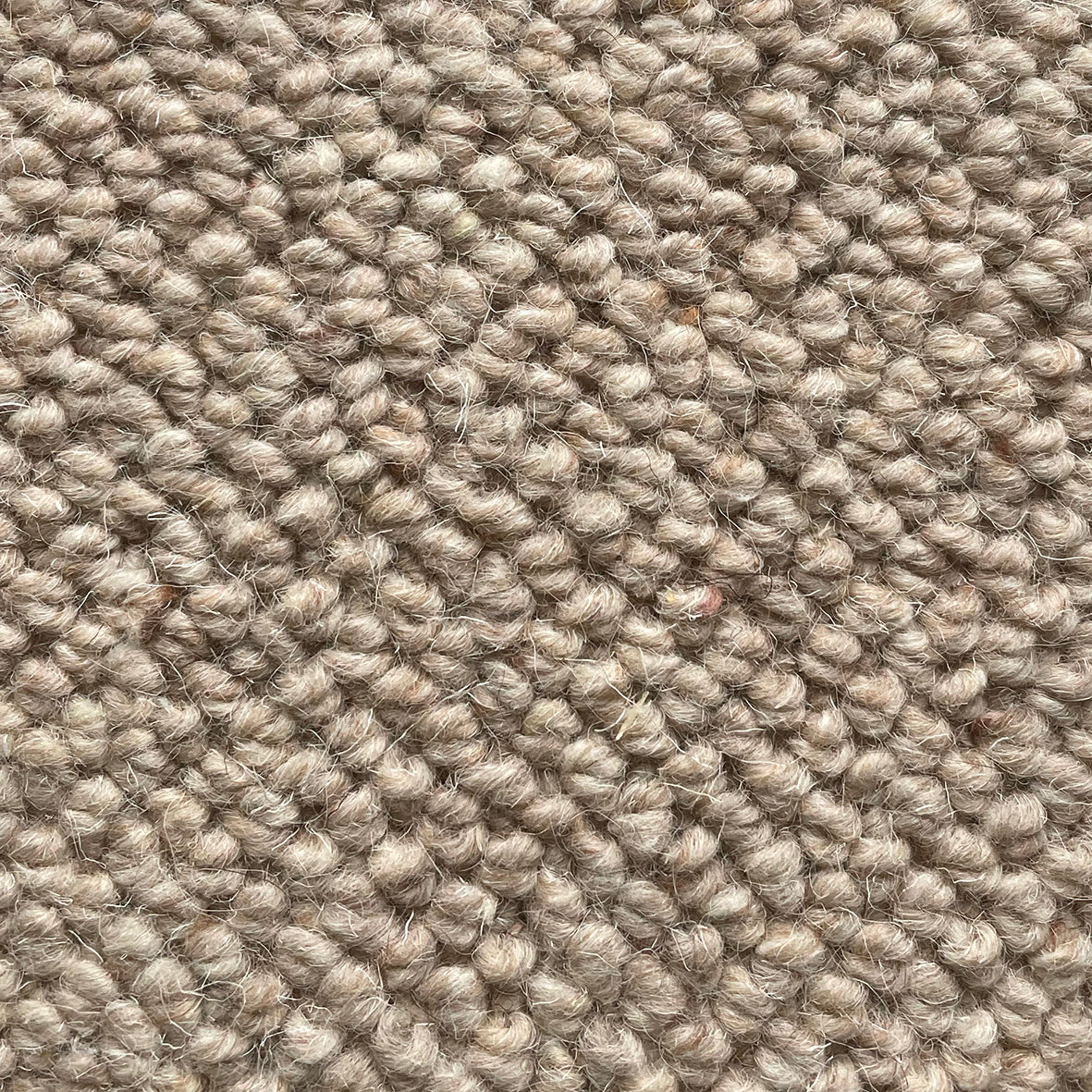 Nickleby Mulberry Carpet
