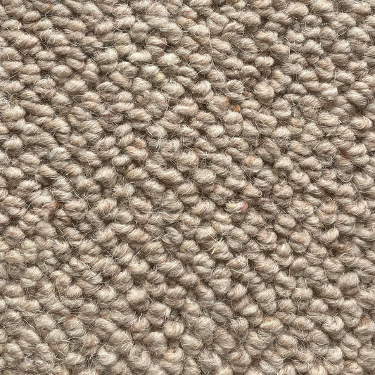 Nickleby Mulberry Carpet