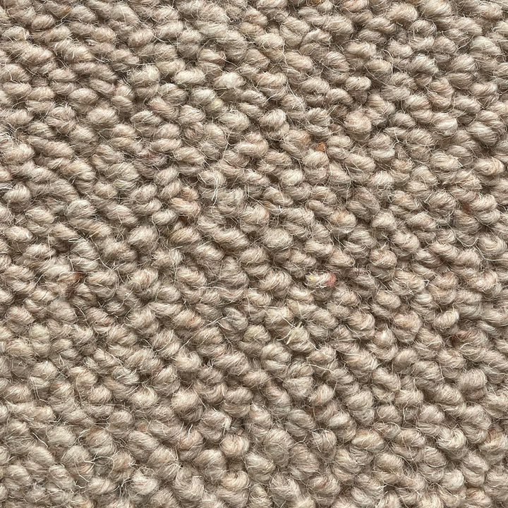 Nickleby Mulberry Carpet