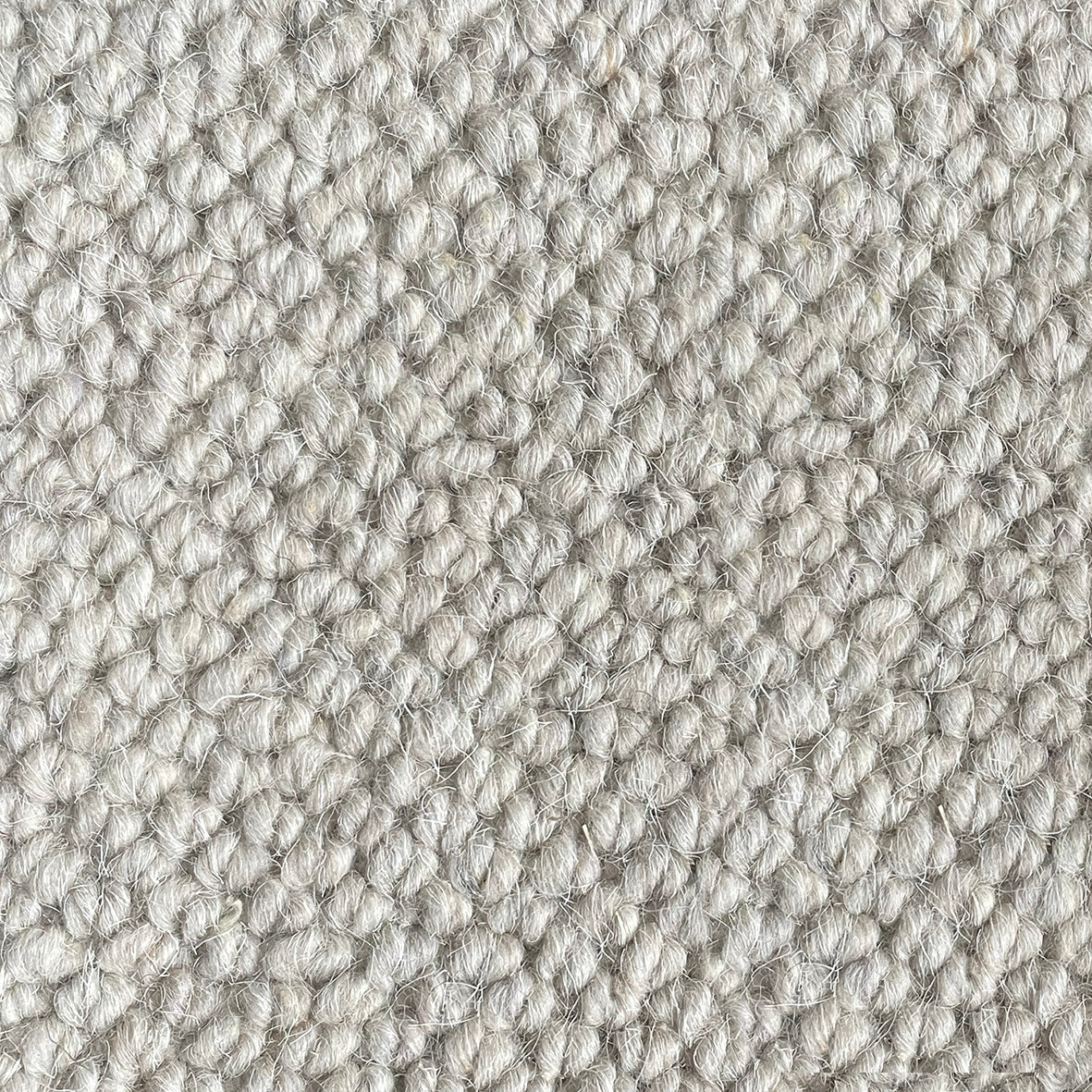 Nickleby Kenwig Carpet