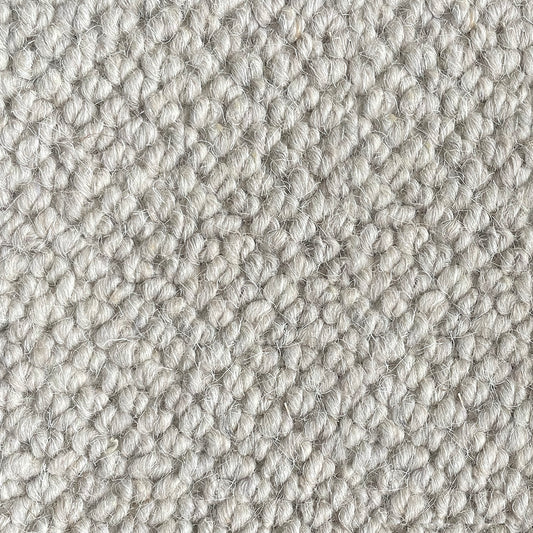 Nickleby Kenwig Carpet