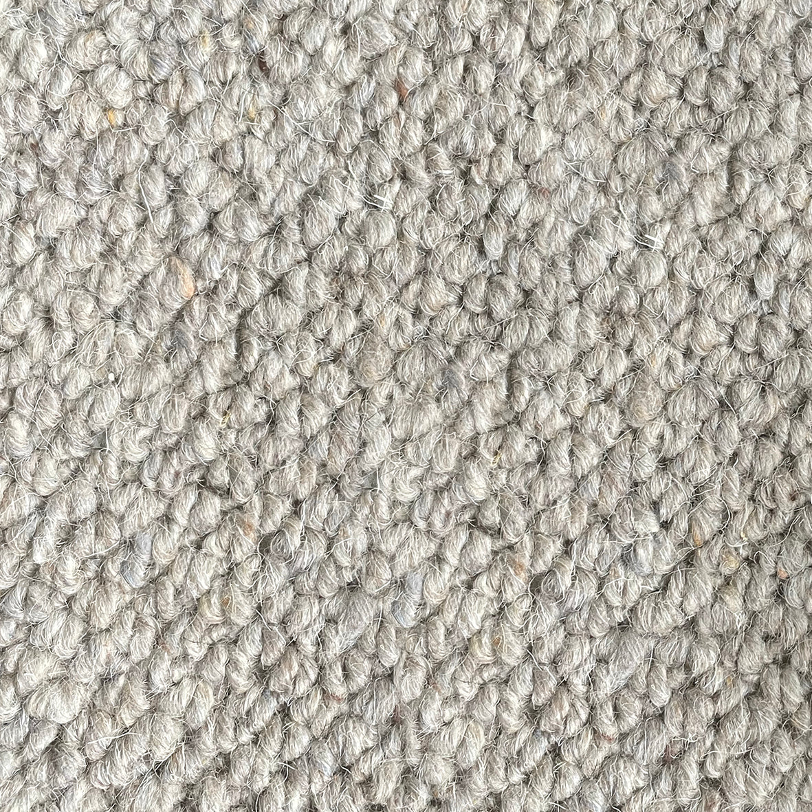 Nickleby Lillvick Carpet