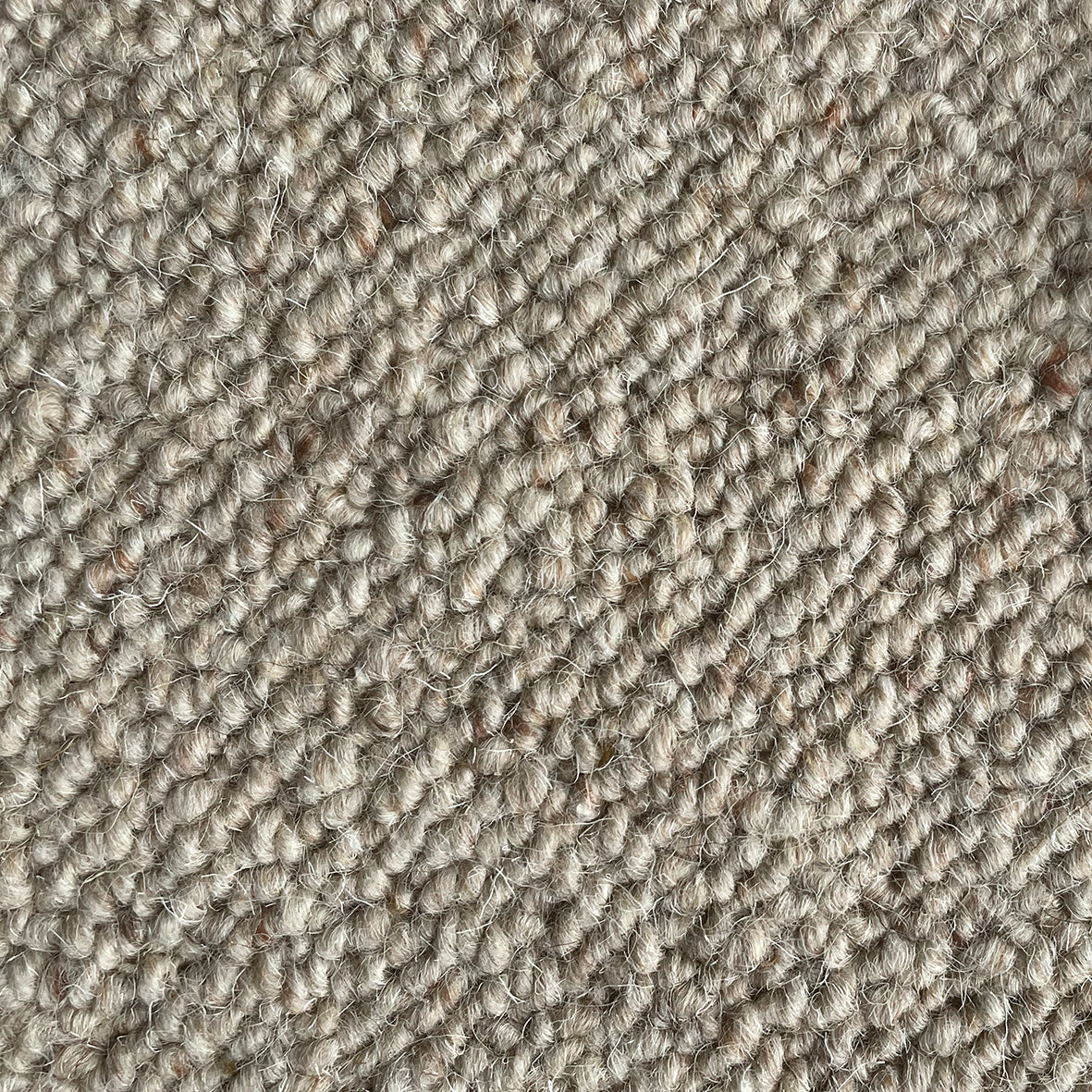 Nickleby Bray Carpet