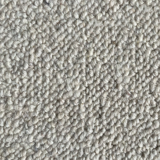 Nickleby Linkinwater Carpet