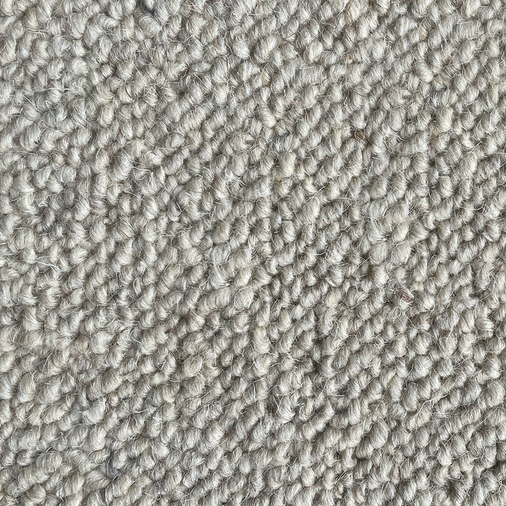 Nickleby Linkinwater Carpet