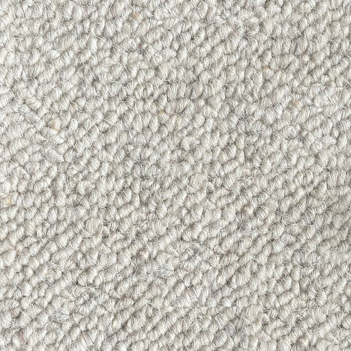 Nickleby Dotheboys Carpet
