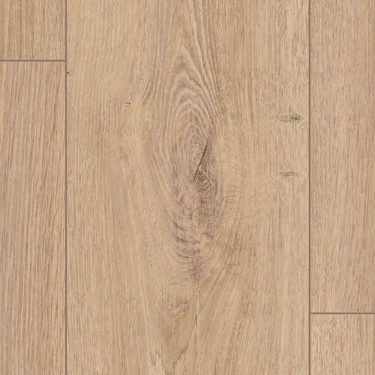 Nature Sense Aqua Brown Treviso Oak EL2183 8mm Laminate Flooring