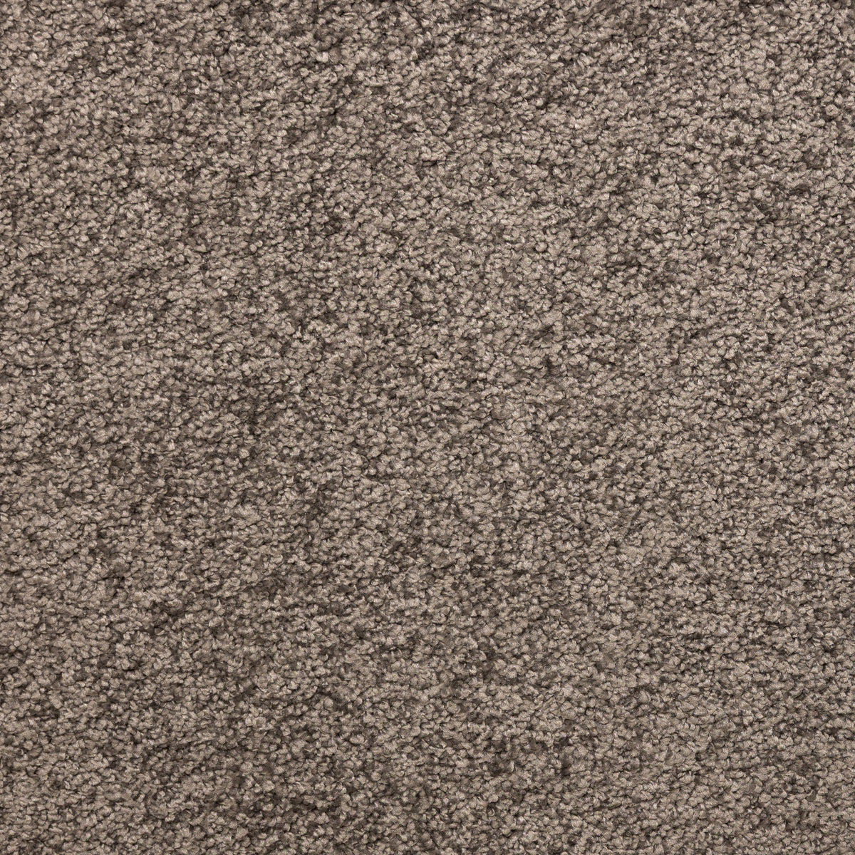 Envy Dark Beige 1040 Carpet