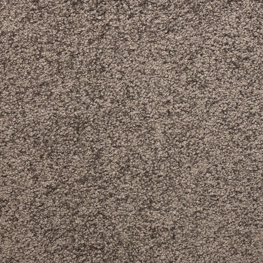 Envy Dark Beige 1040 Carpet