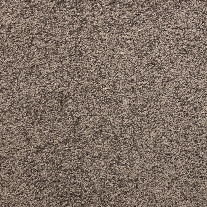 Envy Dark Beige 1040 Carpet