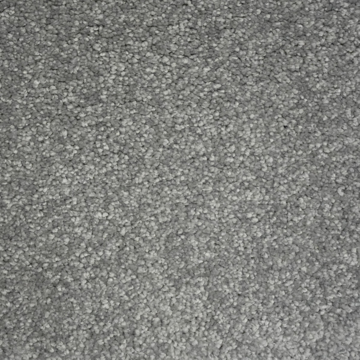 Envy Fossil 1200 1028 Carpet