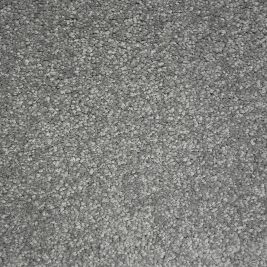 Envy Fossil 1200 1028 Carpet