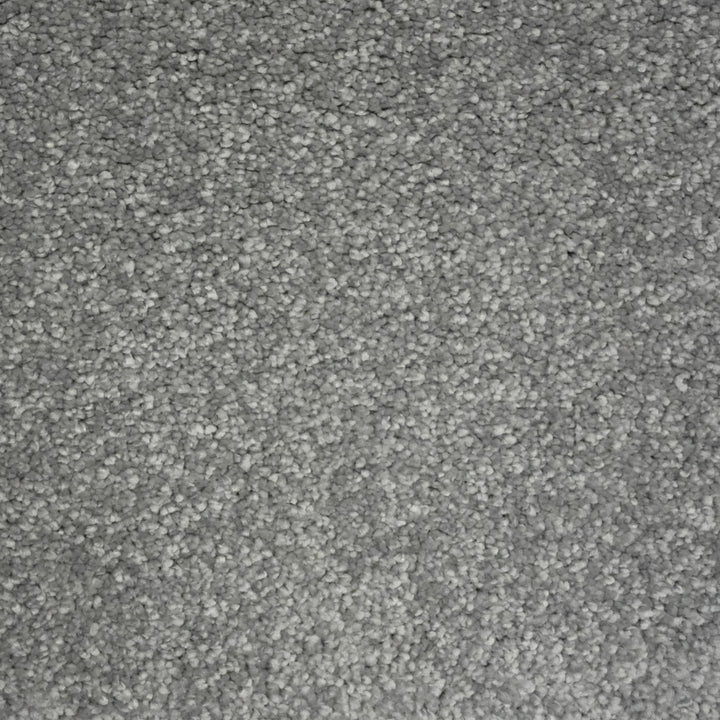 Envy Fossil 1200 1028 Carpet