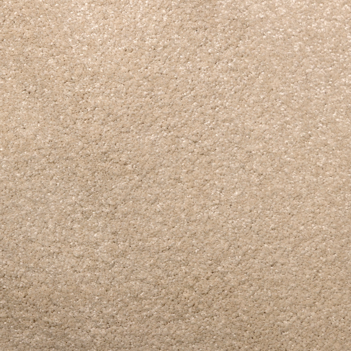Envy Ivory 1024 Carpet