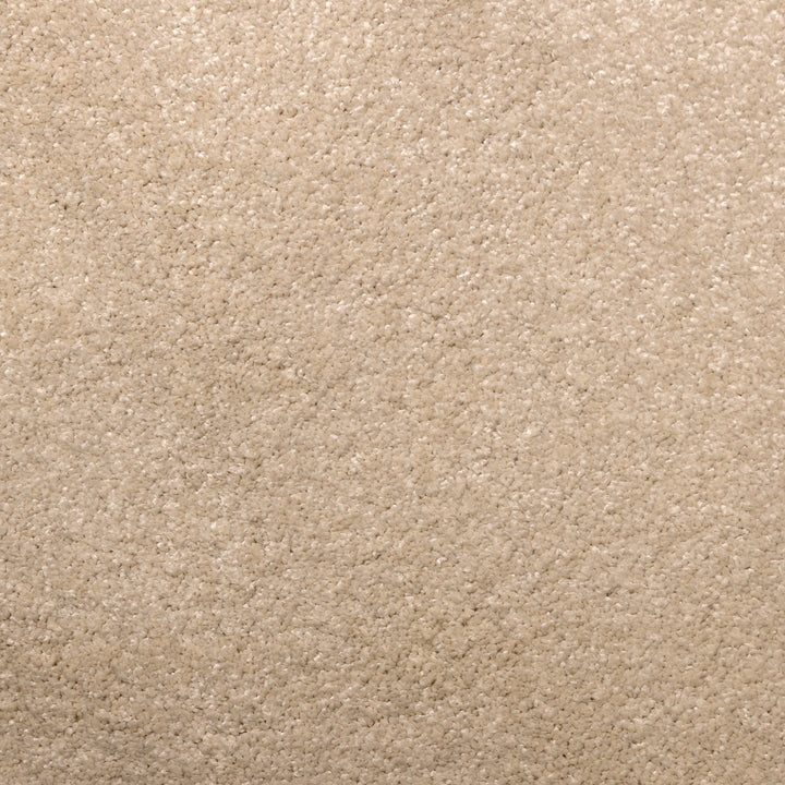 Envy Ivory 1024 Carpet