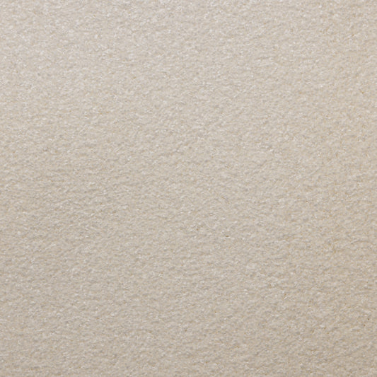 Envy Linen 1013 Carpet