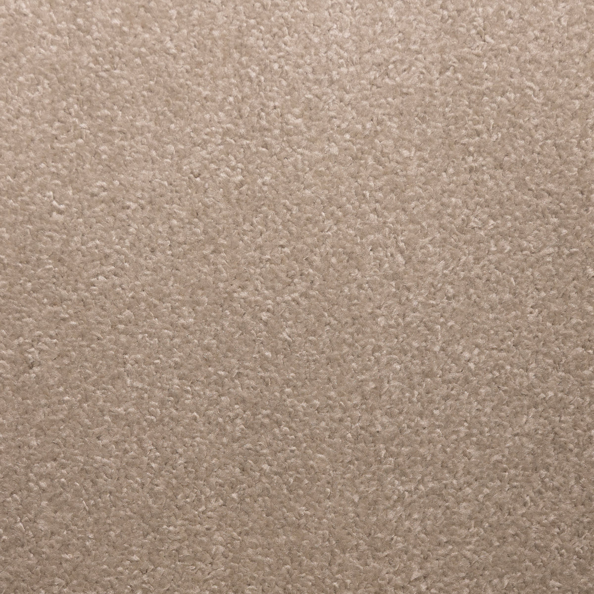 Envy L Beige 1039 Carpet