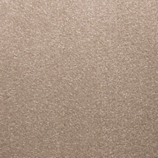 Envy L Beige 1039 Carpet