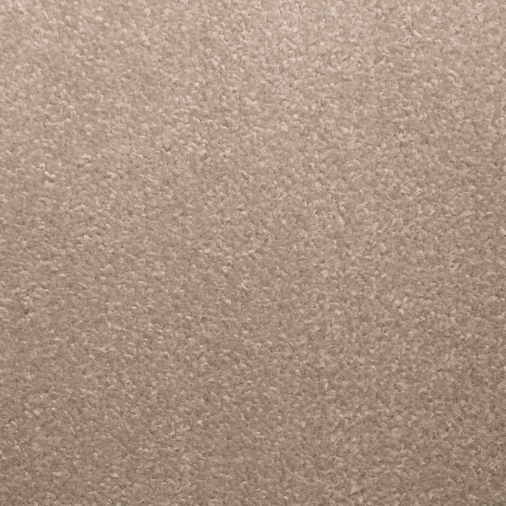 Envy L Beige 1039 Carpet