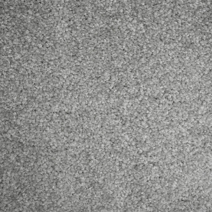 Envy Silver 1010 Carpet