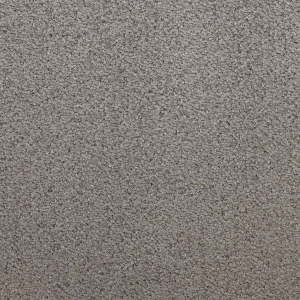 Essentials Fern 07 Carpet