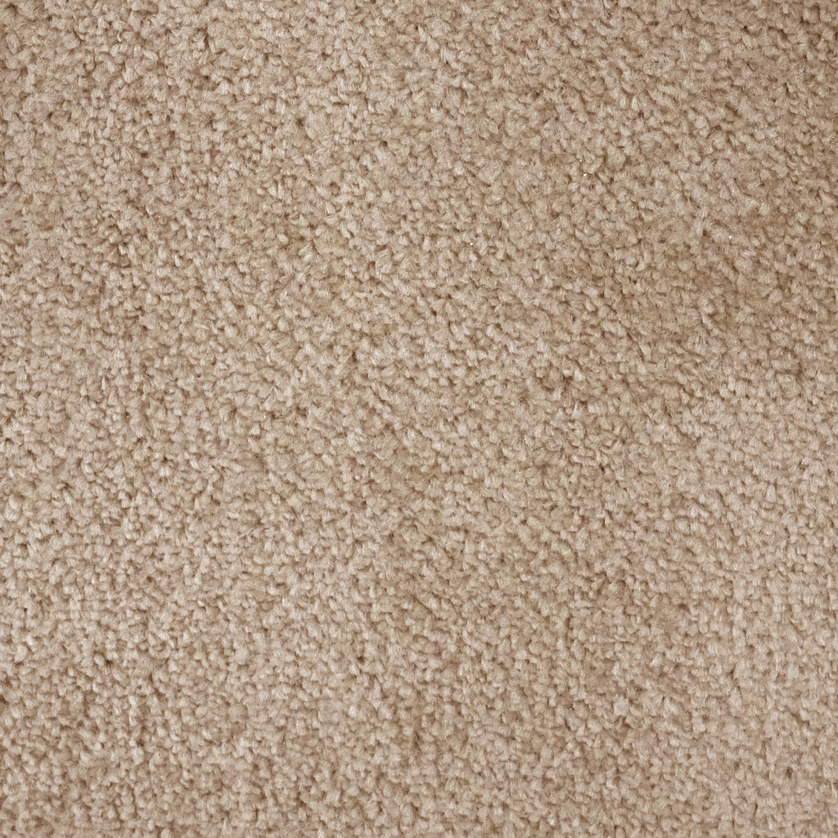Essentials Latte 11 Carpet