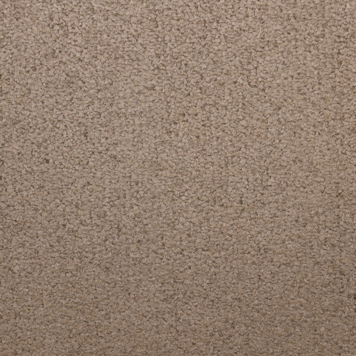 Essentials Chocolate 12 Carpet